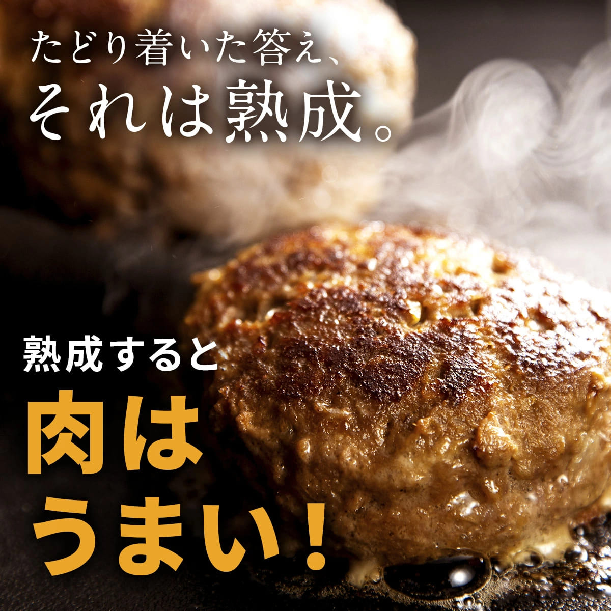 熟成粗挽きハンバーグ (6個入り)